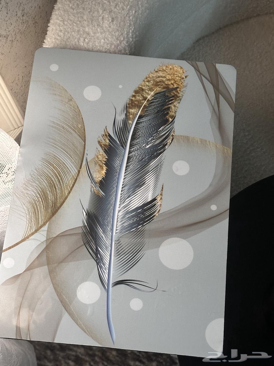 لوحه تعليق غرفه او ممر جديدة نظيفه64624867049987112