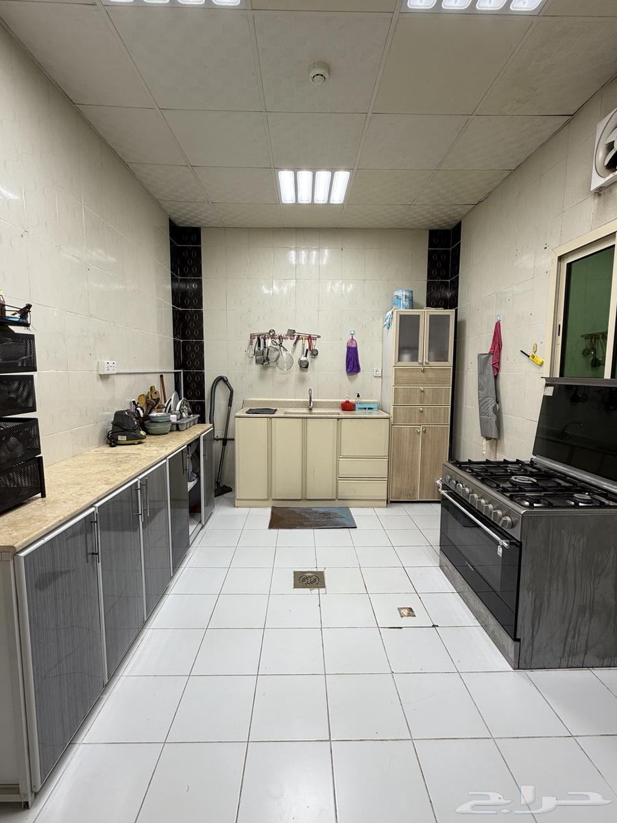 تمام هنا عندك النسخة المترجمة إلى العربية لإعلانك في64619179867265111