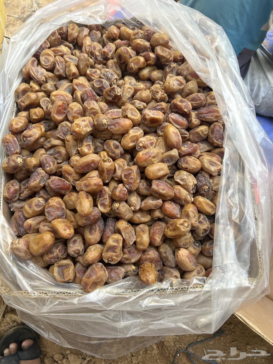 خلاص للبيع64623158900995111