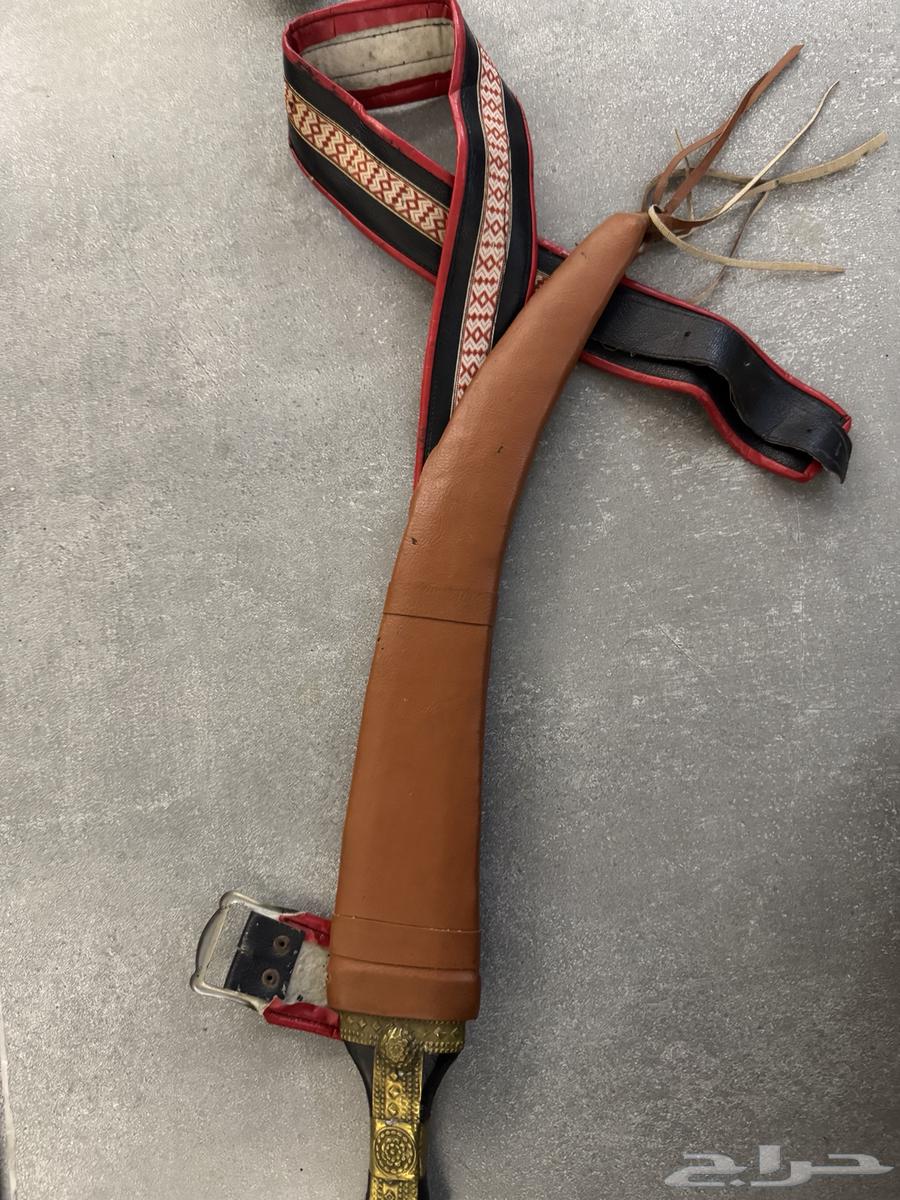 جنبيات للبيع64622525453954111