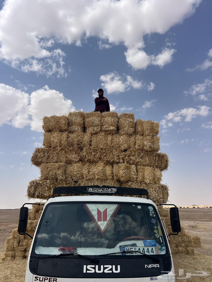 تبن بر جديد64621129847299111