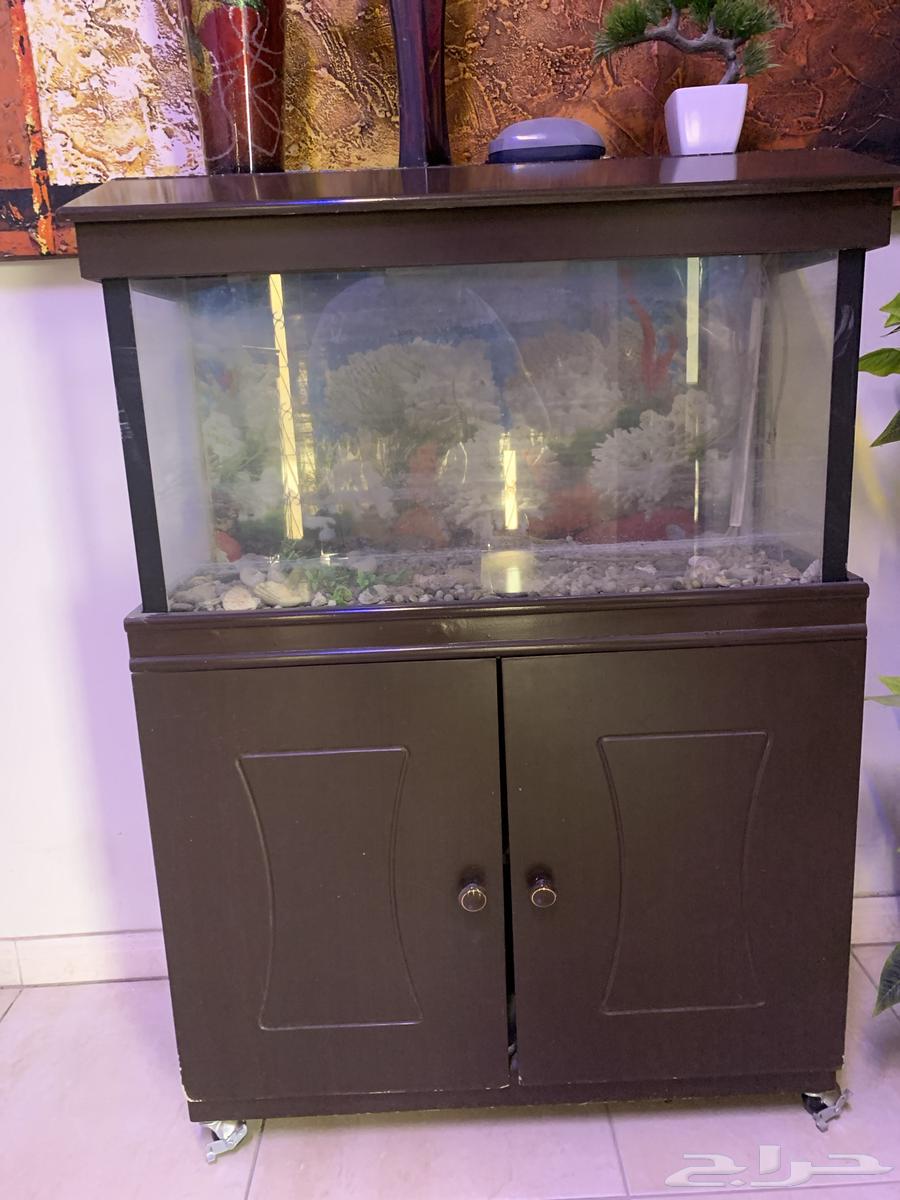 أثاث منزلي للبيع64620367361409113