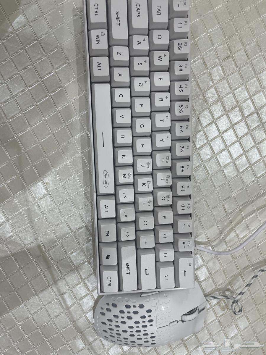 Mouse and Keyboard64619892605826110