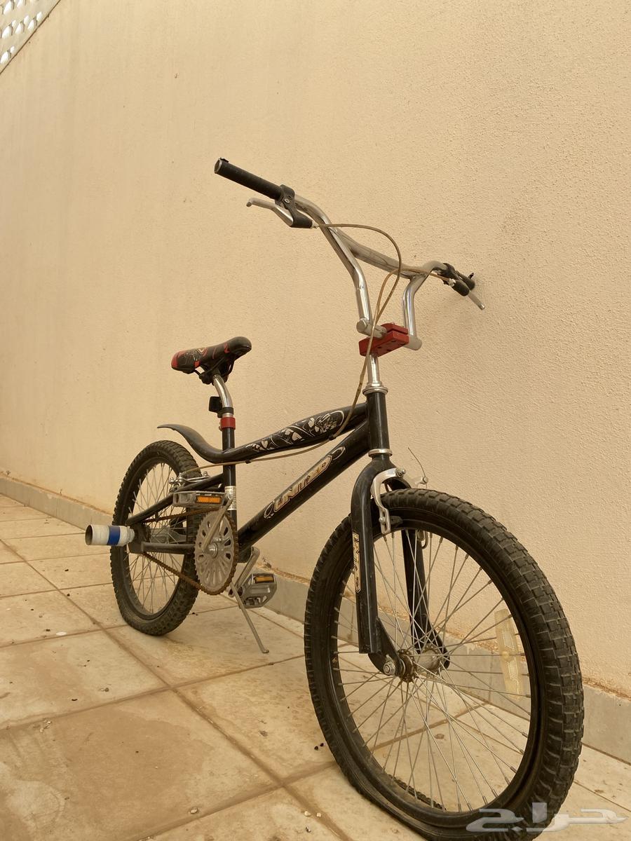 Cobra Bicycle, Size 2064621767584641110