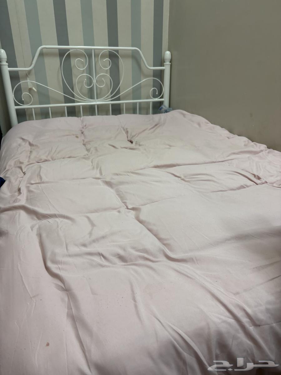 سريرين نفر ونص 45064622862347907112