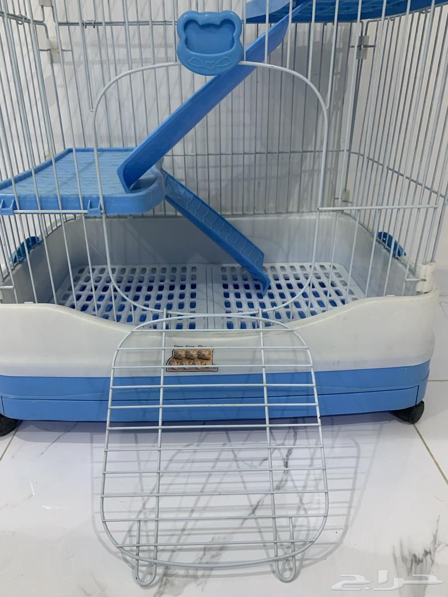 بيت للقطط64621005363331111