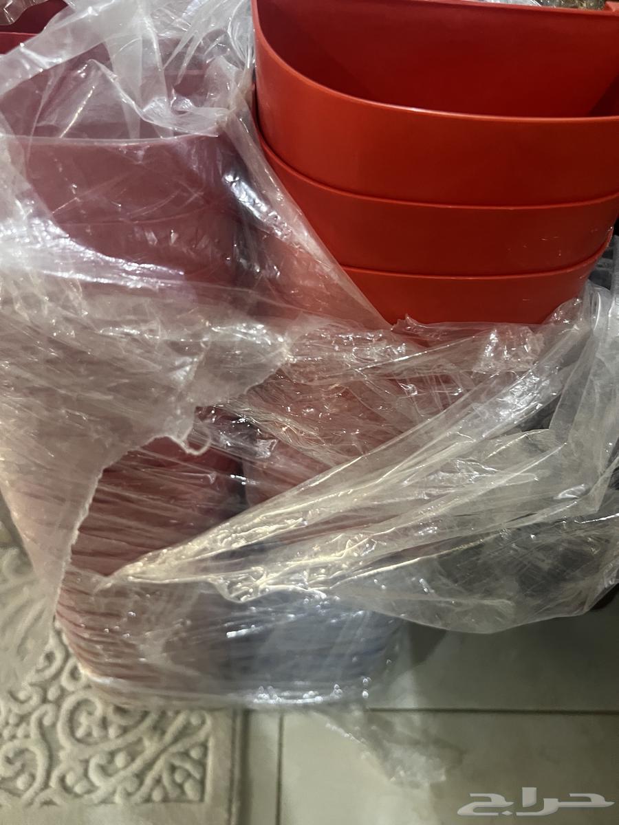 Feeds and Supplements Related To64621841912579111