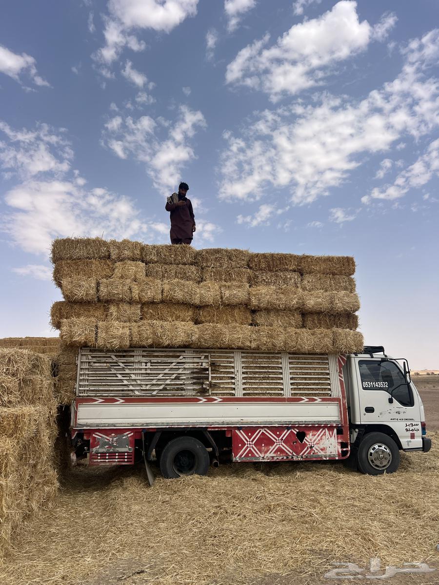 تبن بر جديد64621129847299113