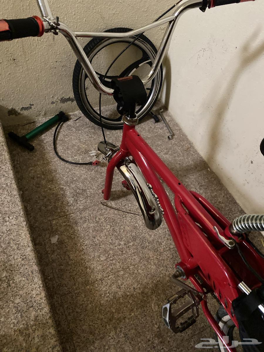 رامبو للبيع مقاس 2064620568126851111