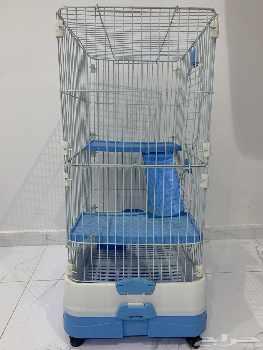 بيت للقطط64621005363331114