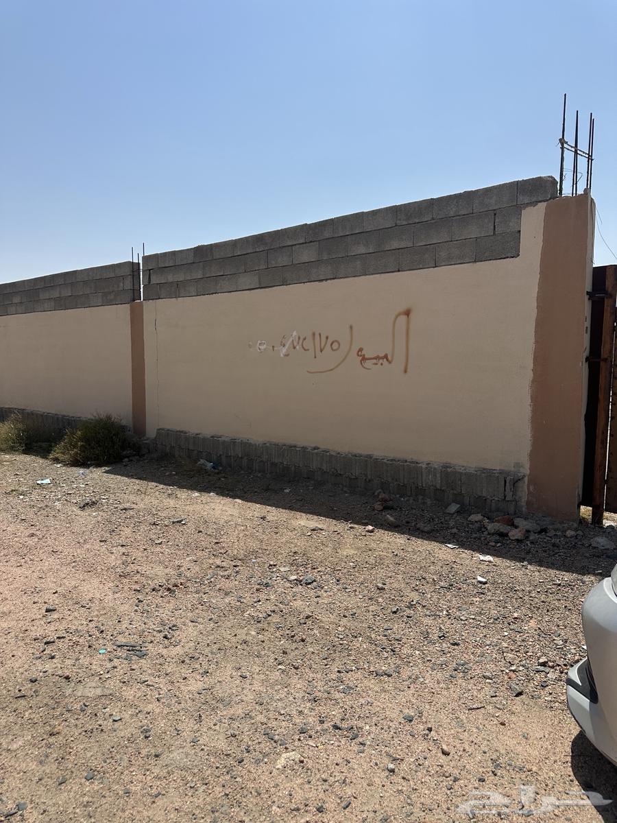 للايجار حوش في حي الواسط64147426883970110
