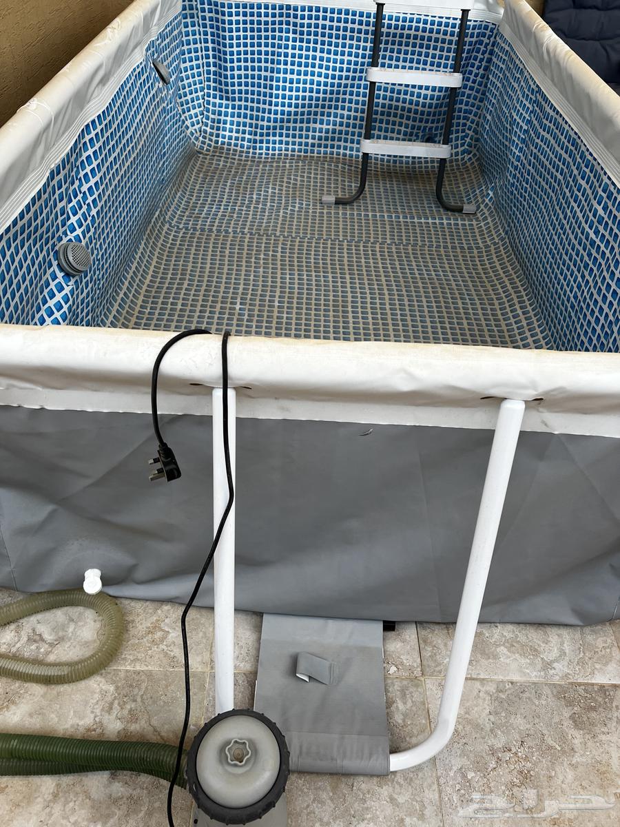 For Sale: Swimming Pool – Frame Swimming Pool by Saco64624621899393111