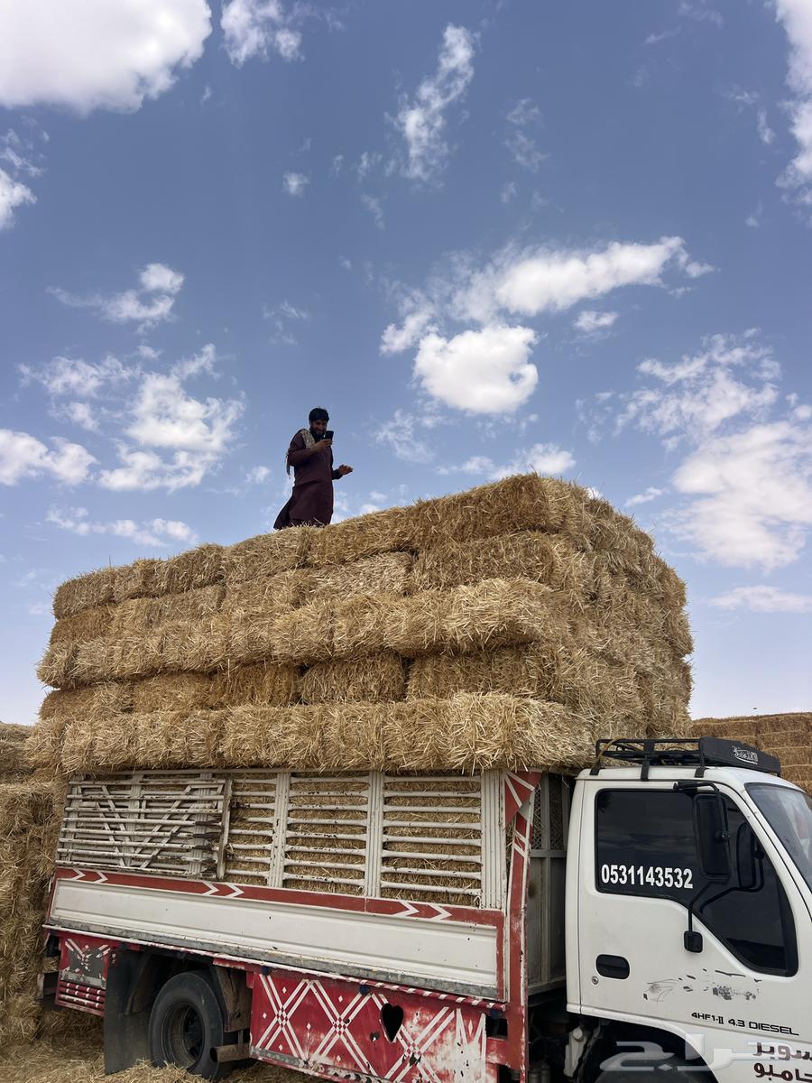 تبن بر جديد64621129847299110