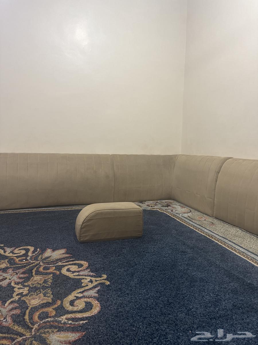 Support64623491355010110