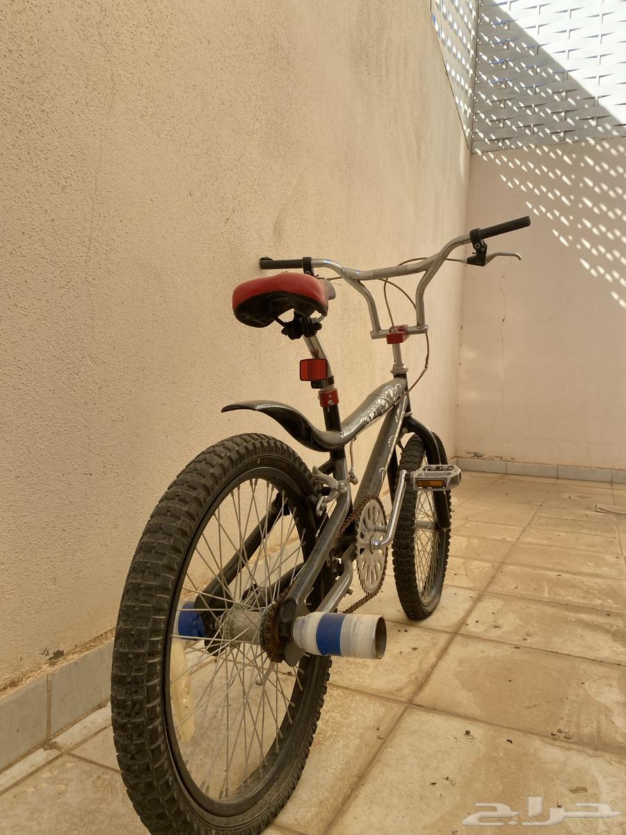 Cobra Bicycle, Size 2064621767584641111