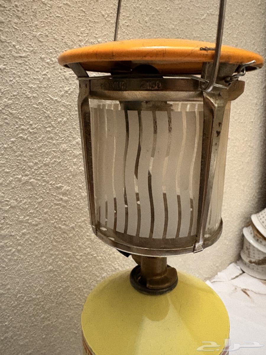 اتريك سويدي مع الدبة64622961878403114