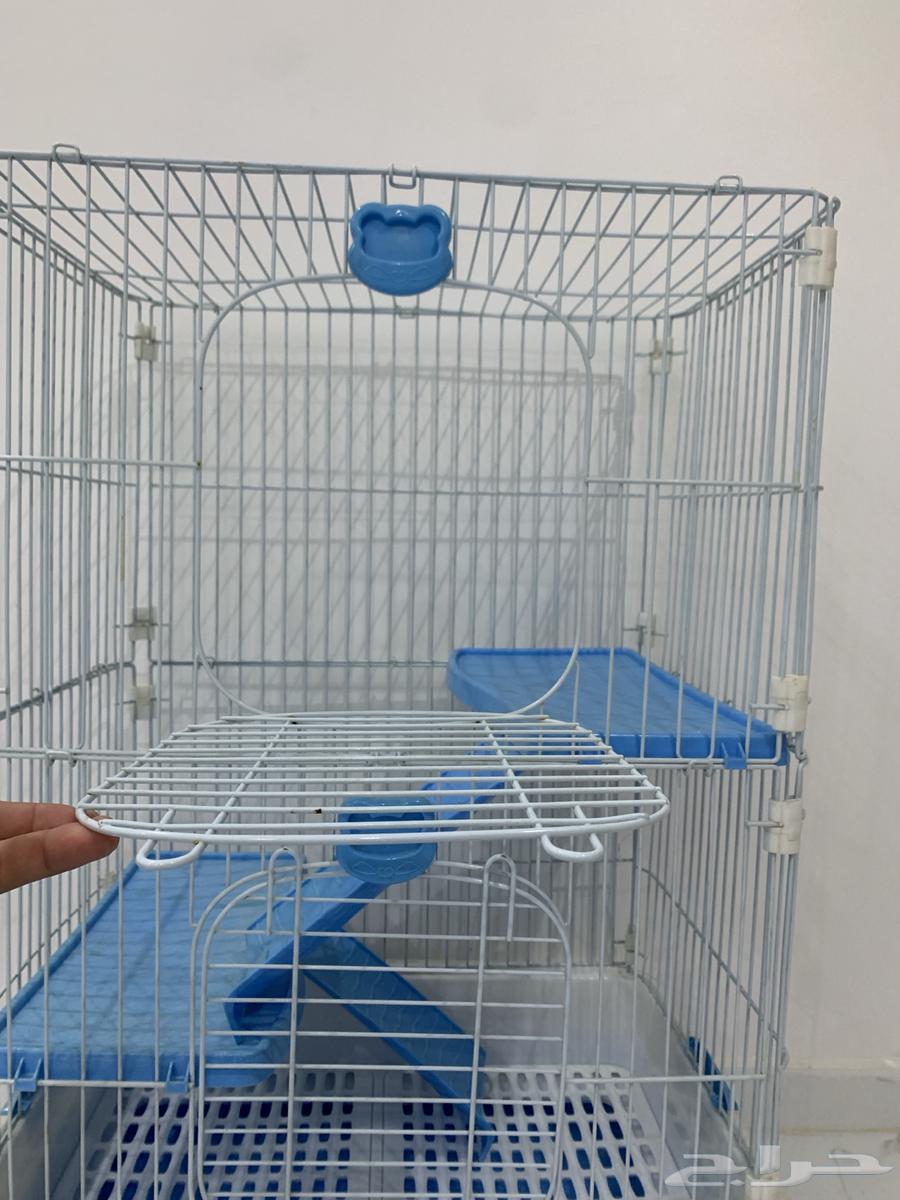 بيت للقطط64621005363331112