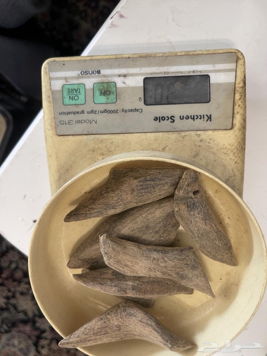 عود مروكي طبيعي (دبل وتربل) فاخر64620230159106113