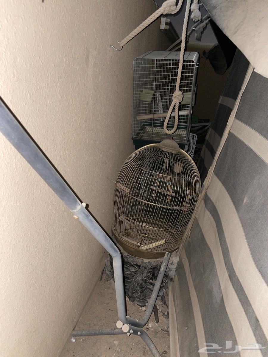 قفص طيور للبيع64522837355523111