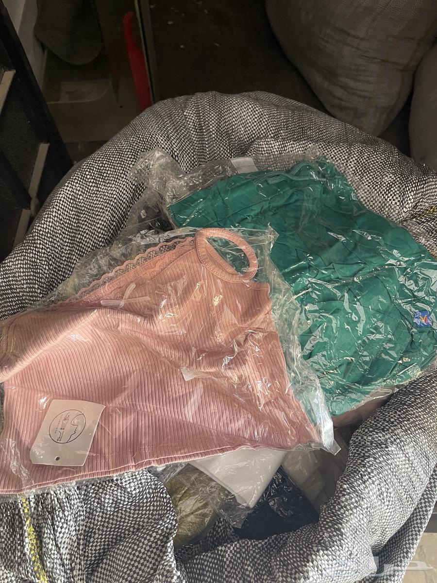 Shien, Chic Point, and Max Website Clothes64592696869634113