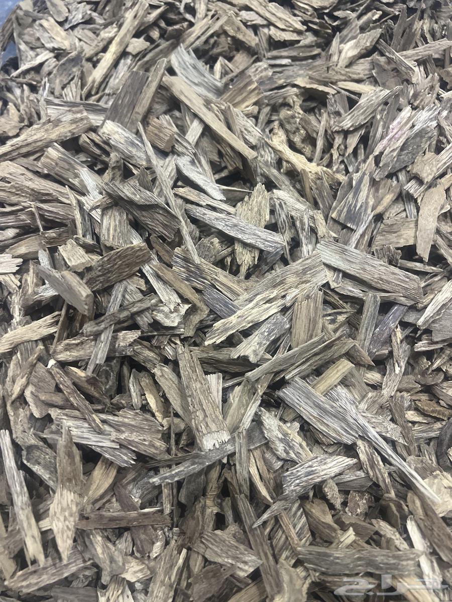 Clementine Precision and Chips64623972885251110