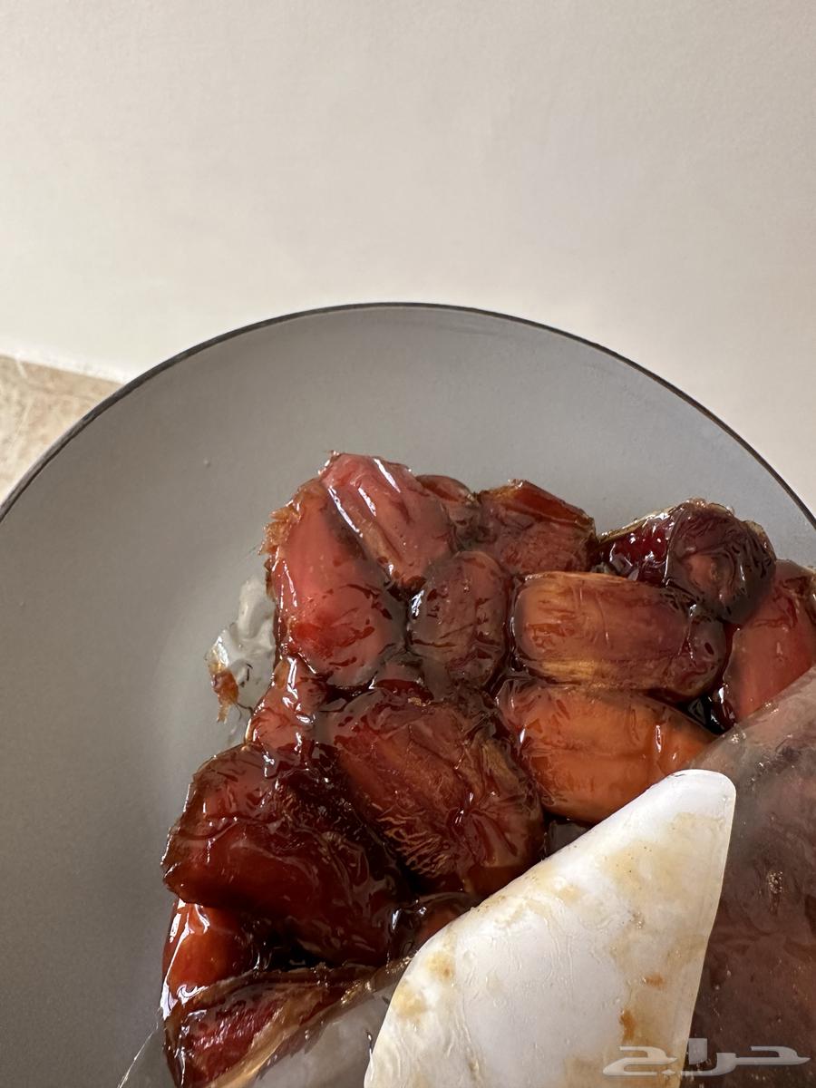 Premium Al-Bisha Zero Dates – Ultimate Quality64618252294146112