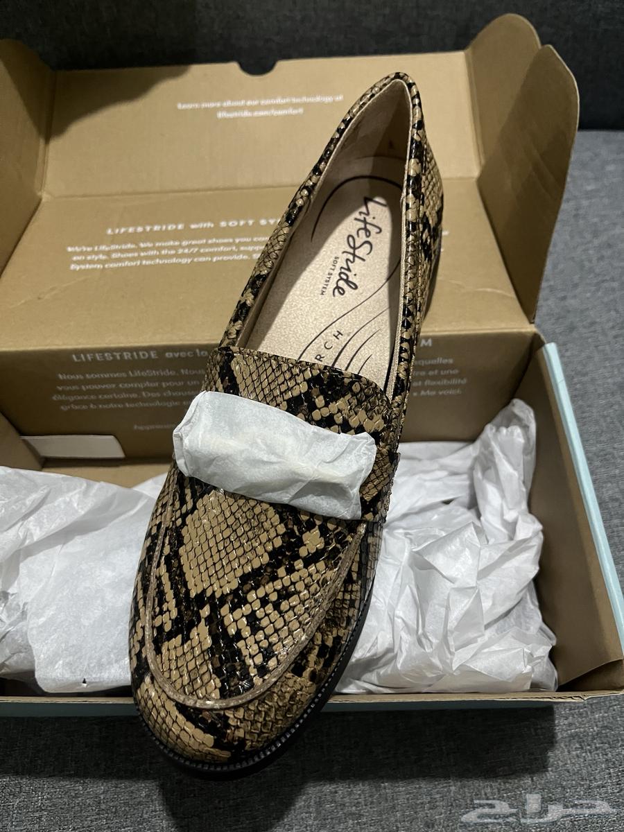 Flat from the Life stuide Brand64618739612931112