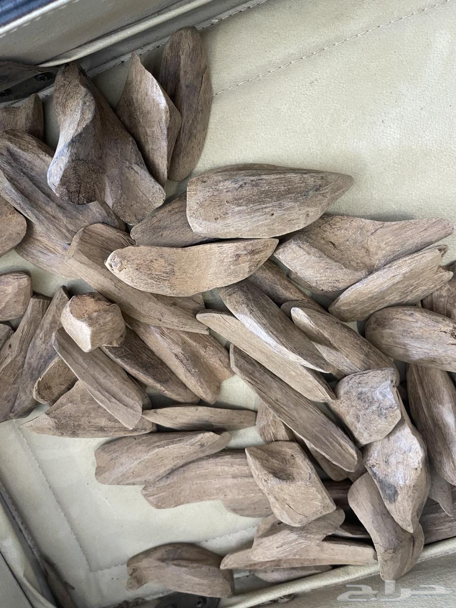 عود مروكي طبيعي (دبل وتربل) فاخر64620230159106111