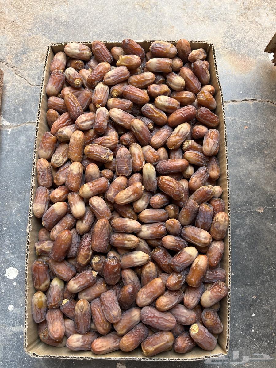 Mutlabban (Labanah) from Suleimani Dates64621492445697110