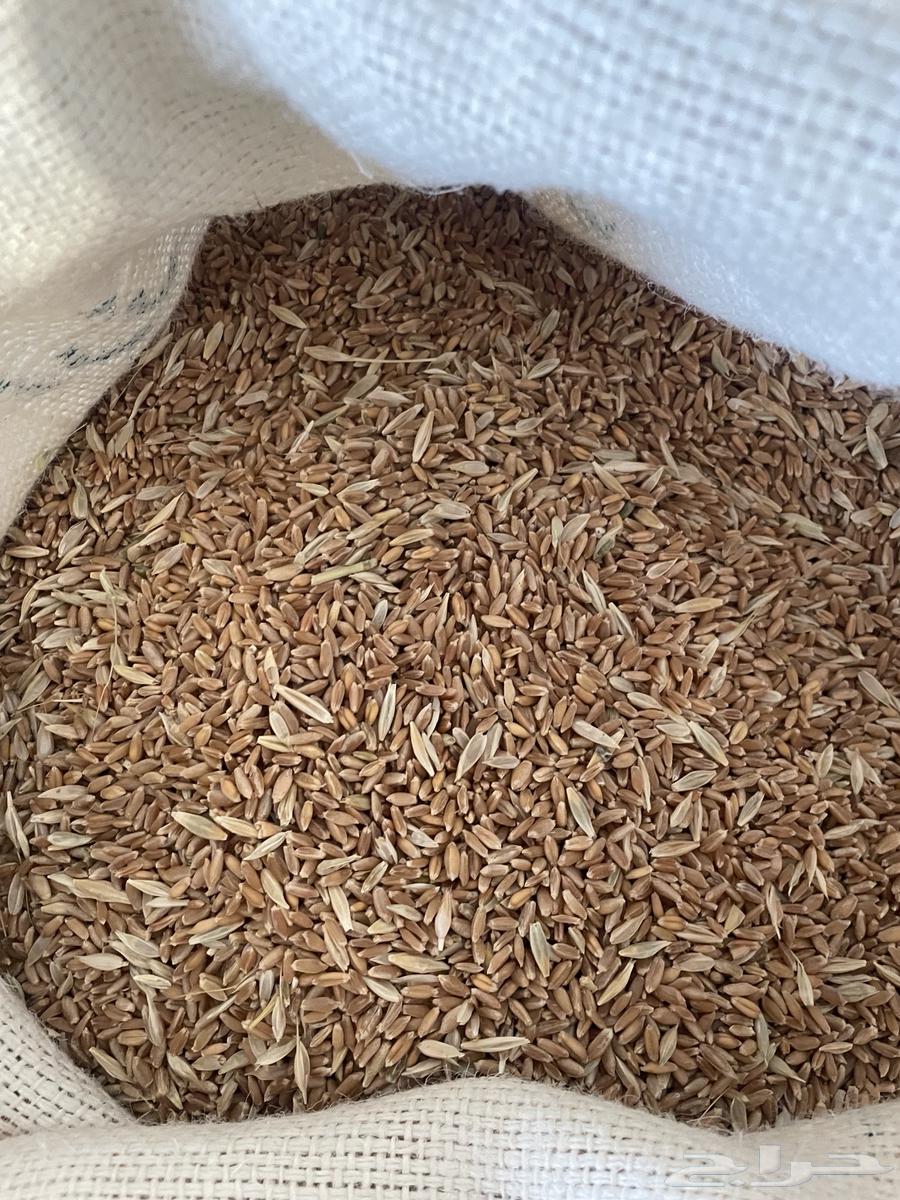 ب ر عضوي على مياه الأمطار إنتاج السنه هذي جديد سعر مغري64622500449027110