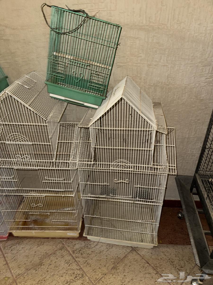 قفص ببغاء كبير64624511932546111