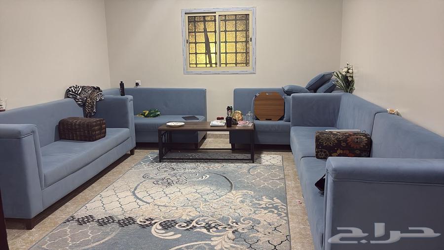 كتب للبيع يحتاج صاله كبير64616529784067110