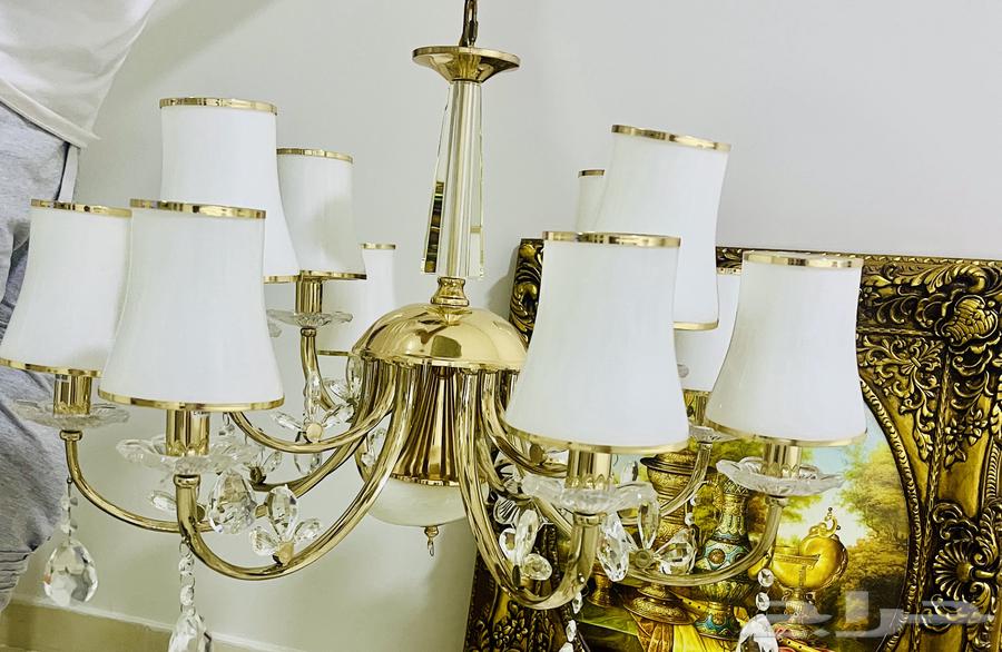 Chandelier, 12-light fixture64616554495747110