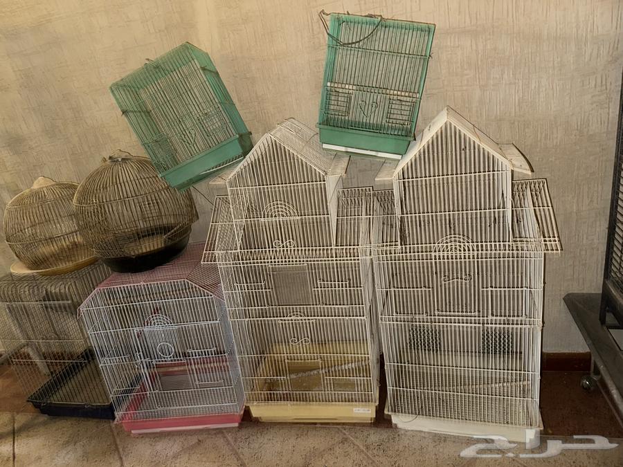 قفص ببغاء كبير64624511932546114