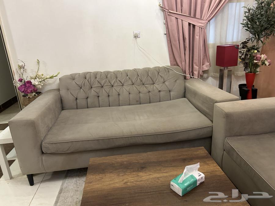 كنبات البيع بحاله ممتازه . مفرد. او  جميع. بسبب النقل64618979641858111