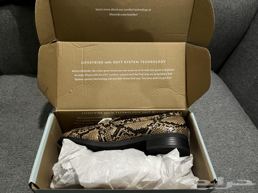 Flat from the Life stuide Brand64618739612931111