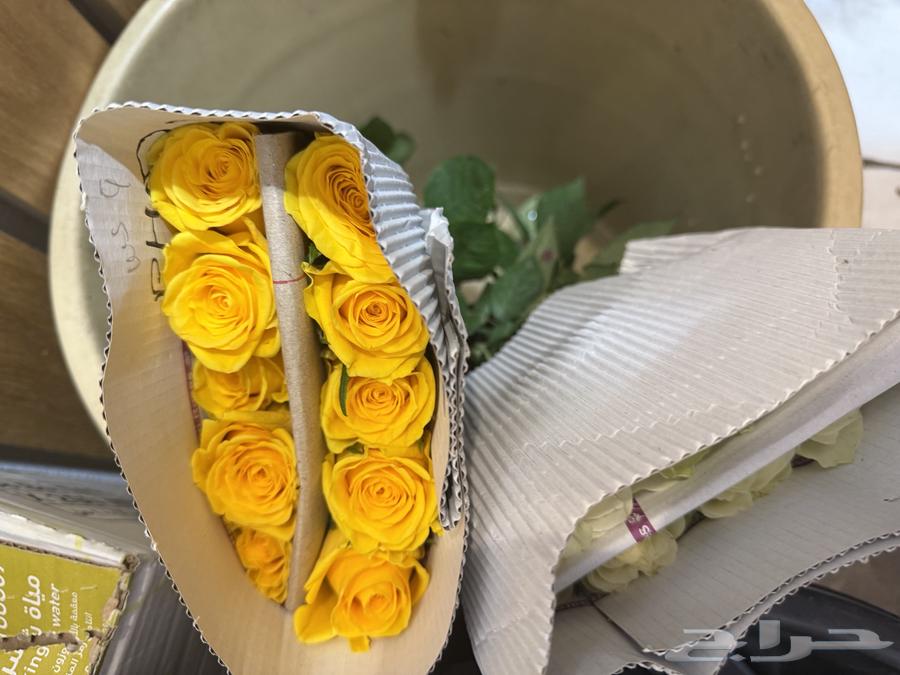 ورد طبيعي بالجملة ليوم المعلم64623220046465111