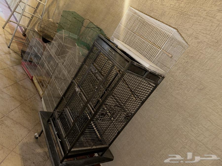 قفص ببغاء كبير64624511932546110