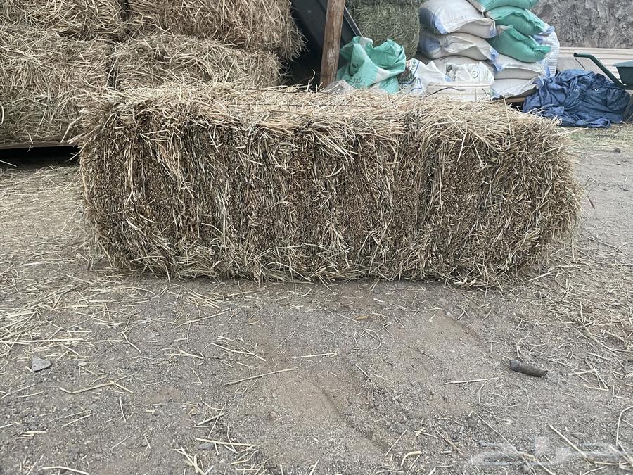 رودس شد ولجر للبيع64619153822209110