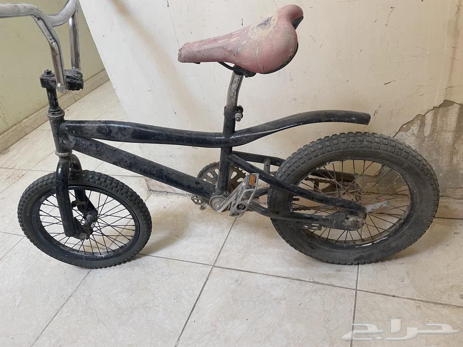 سيكل كوبرا شاريه 440  وابيعه با 10064620142335234110