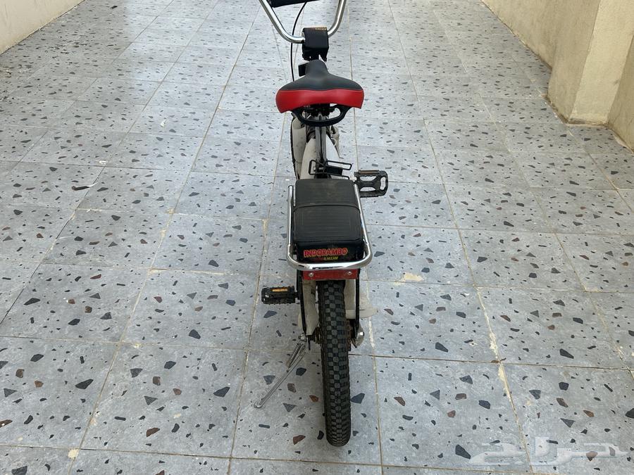 سيكل رامبو64607842983937114