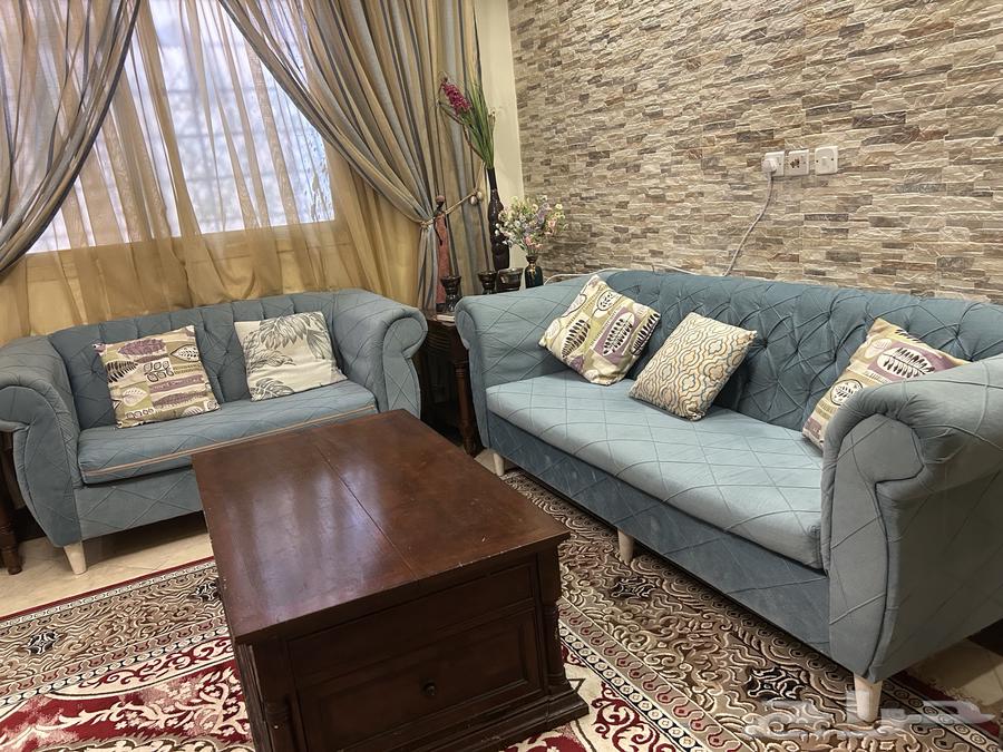 كنبات البيع بحاله ممتازه . مفرد. او  جميع. بسبب النقل64618979641858112