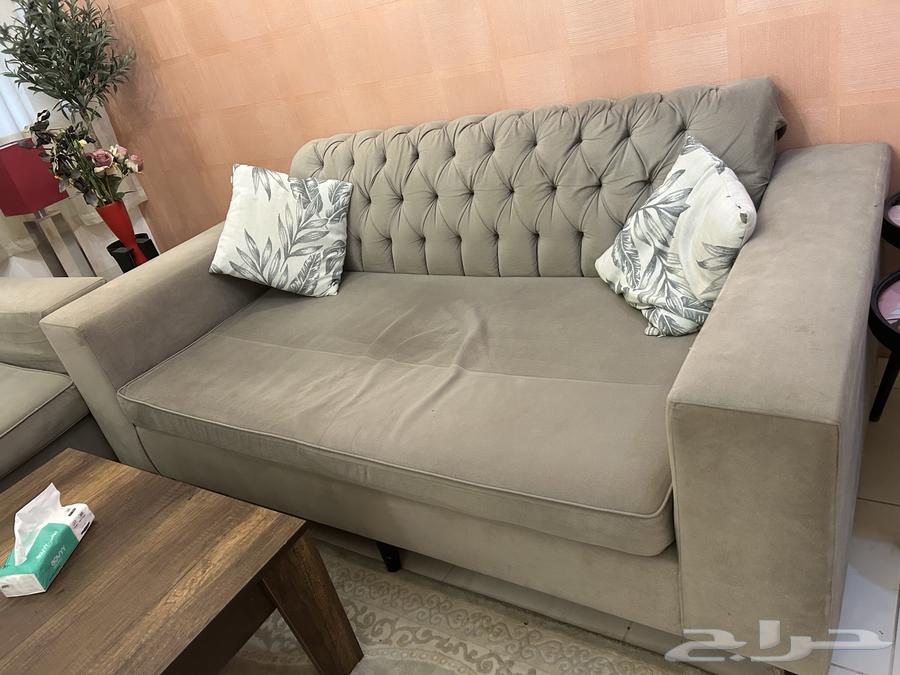 كنبات البيع بحاله ممتازه . مفرد. او  جميع. بسبب النقل64618979641858110