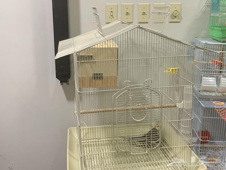 زوج كروان مع قفص كبير للببغاء64619754748929111