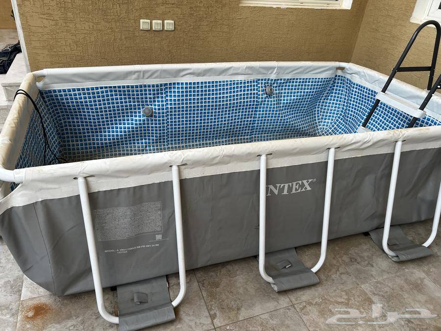 For Sale: Swimming Pool – Frame Swimming Pool by Saco64624621899393112