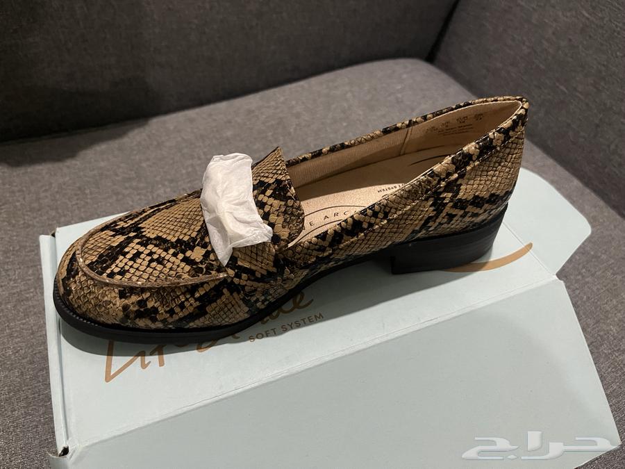 Flat from the Life stuide Brand64618739612931113