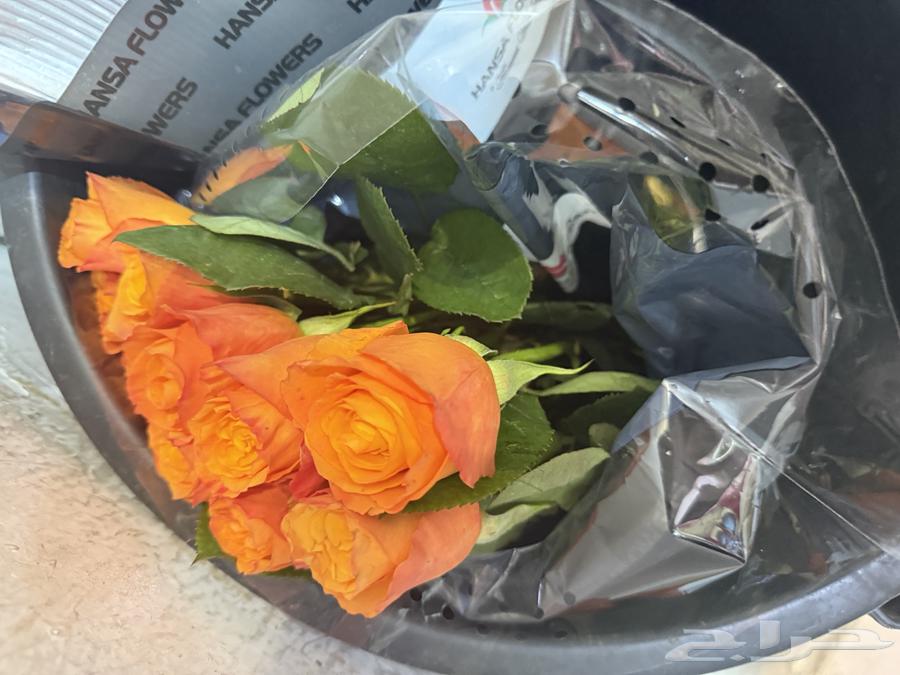 ورد طبيعي بالجملة ليوم المعلم64623220046465112