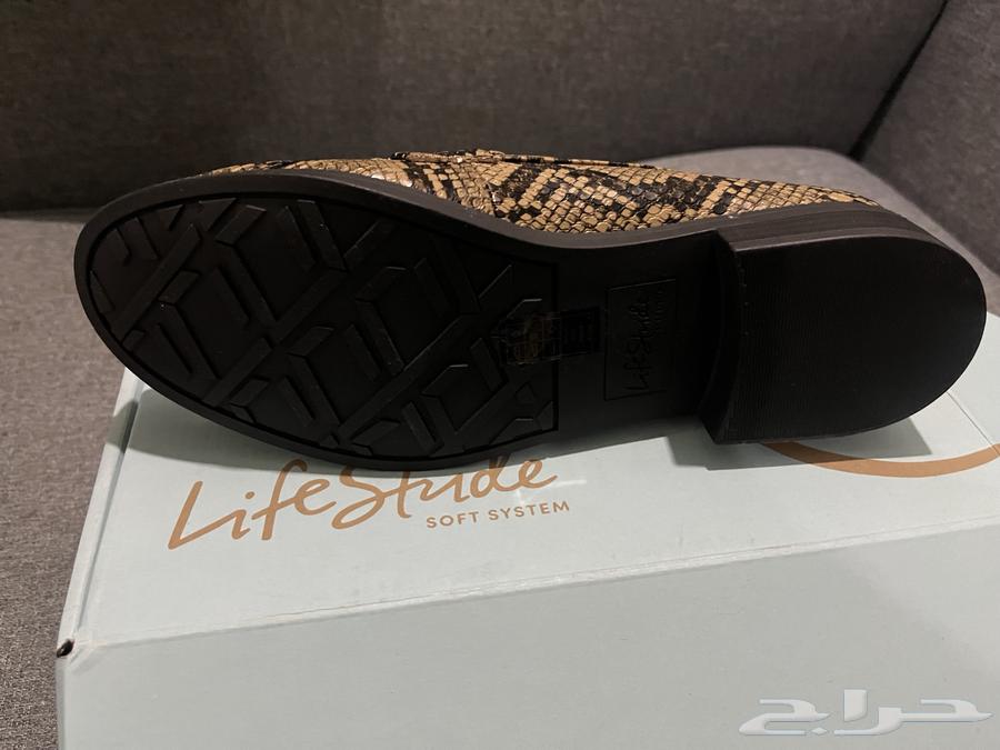 Flat from the Life stuide Brand64618739612931114