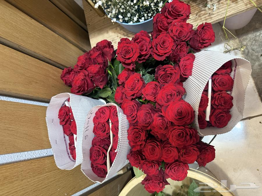 ورد طبيعي بالجملة ليوم المعلم64623220046465110