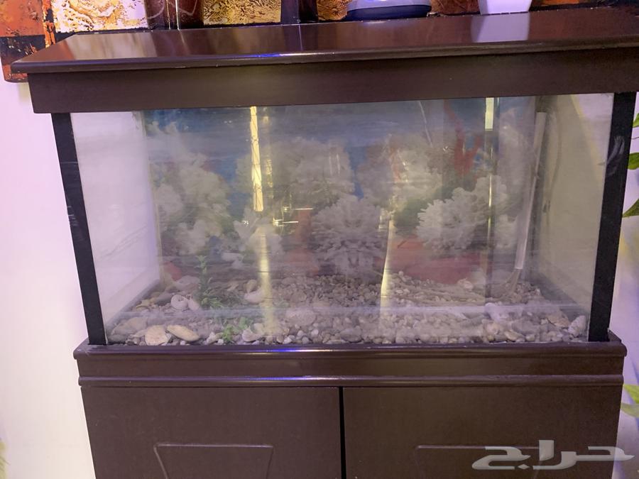 أثاث منزلي للبيع64620367361409114